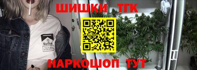 гашик Моздок